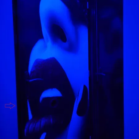 Room, 4 Etoiles, 50 Nuances Romantiques *