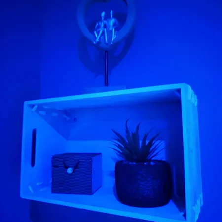 Room, 4 étoiles, 50 Nuances Romantiques Villeneuve-en-Retz