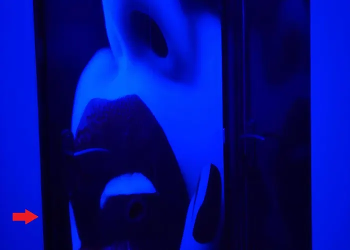 Room, 4 Etoiles, 50 Nuances Romantiques Ferienhaus